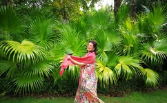 2022年狂飙什么时候播出